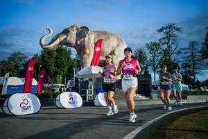 BIB: 
                            <button type="button" onclick="openModal(26541738)" class="btn btn-primary btn-sm float-right btn-popup" data-toggle="modal" data-target=".modal-high-quality">
                        <i class="fas fa-shopping-cart"></i> Add to Cart
                    </button>
                                            <button type="button" onclick="isThisMe(26541738, true)" class="btn btn-success btn-sm float-right btn-popup btn-isme hidden" data-toggle="tooltip" data-placement="bottom" title="นี่คือรูปของคุณใช่ไหม คลิกที่นี่เพื่อเอาเข้าอัลบั้ม">
                        <i class="fas fa-plus"></i> Add to album
                    </button>
                    <button type="button" onclick="isThisMe(26541738, false)" class="btn btn-warning btn-sm float-right btn-popup btn-isnotme hidden">
                        <i class="fas fa-ban"></i> Remove from album
                    </button>